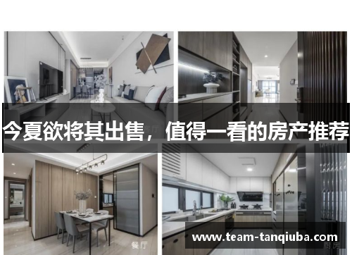 今夏欲将其出售，值得一看的房产推荐
