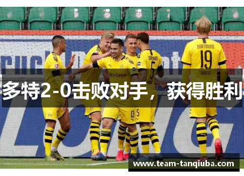 多特2-0击败对手，获得胜利