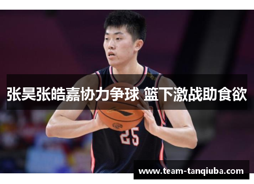 张昊张皓嘉协力争球 篮下激战助食欲